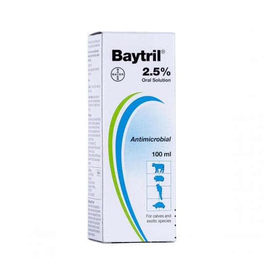 Buy Baytril 2.5 Oral Solution Online Save Up To 74 UK Pets