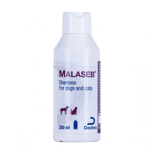 Buy Malaseb Shampoo for Dogs and Cats from £16.72 UK Pets