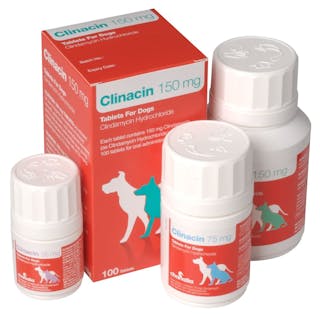 Clinacin for Dogs - Antibiotic Tablets