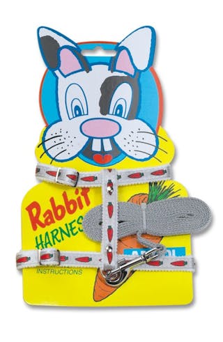 Rabbit Harness/Lead