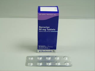 Noroclav for Dogs & Cats - Antibiotic Tablets