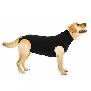 Dog Recovery Suit (Black)