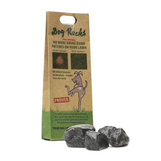 Dog Rocks Igneous Rock