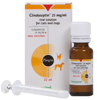 Clindaseptin 25mg/ml OralSolution for Cats and Dogs