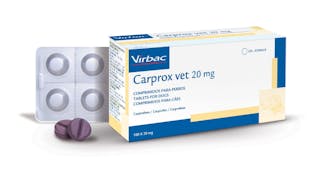 Carprox Vet Tablets for Dogs