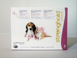 Stronghold Spot-On Solution for Puppy & Kitten