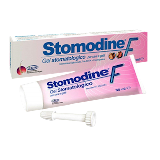 Stomodine F Gel 