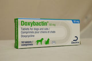 Doxybactin for Dogs and Cats - Antibiotic Tablets