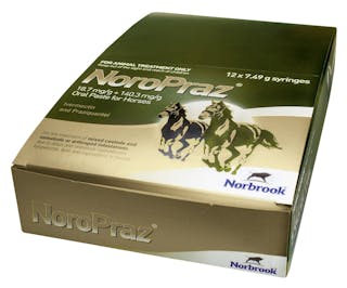 Noropraz 18.7mg/g + 140.3 mg/g Oral Paste for Horses