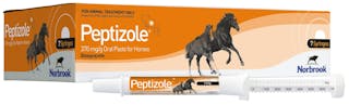 Peptizole 370mg/g Oral Paste for Horses