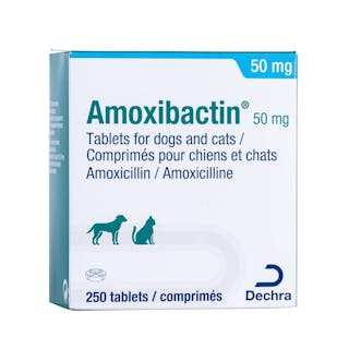 Amoxibactin for Dogs & Cats (Tablets)