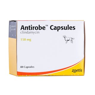 Antirobe Capsules