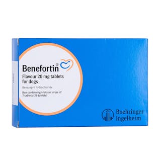 Benefortin Flavour Tablets