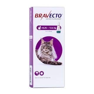 Bravecto Spot-On Solution for Cats