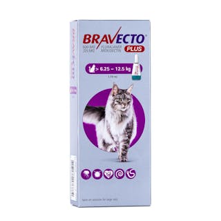 Bravecto PLUS Spot-On Solution for Cats