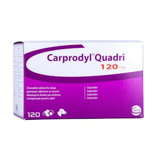 Carprodyl Quadri for Dogs - Tablets