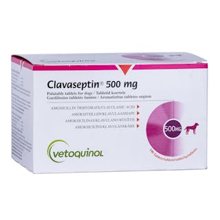 Clavaseptin for Dogs - Palatable Tablets (250mg / 500mg)