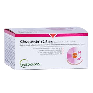 Clavaseptin for Cats & Dogs - 50mg / 62.5mg Tablets