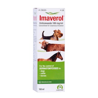 Imaverol 100mg/ml Concentrate for Cutaneous Emulsion