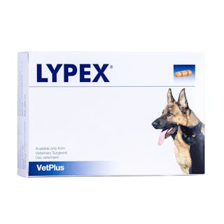 Lypex for Dogs & Cats