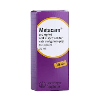 Metacam for Cats and Guinea Pigs (0.5mg/ml Oral Suspension)