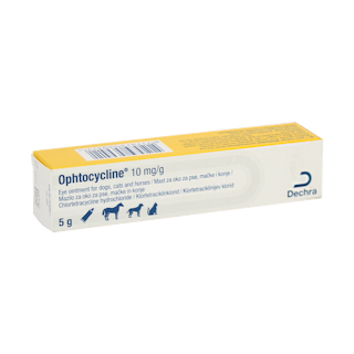 Ophtocycline 10mg/g Eye Ointment for Dogs,Cats and Horses