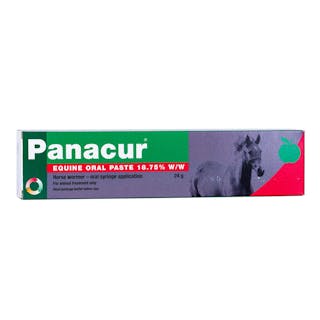 Panacur for Horses and Ponies