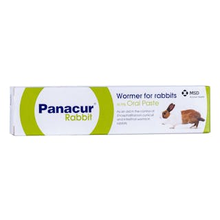 Panacur 18.75% Oral Paste for Rabbits