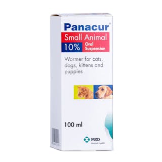 Panacur Small Animal 10% Oral Suspension for Cats and Dogs