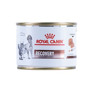 Royal Canin Rcw Recovery Cans